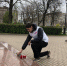 молодогвардейцы василеостровского района почтили память адмирала нахимова картинки мгер - Молодая Гвардия