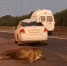 Кадр из видео в <a href="https://vk.com/spb_today" class="io-leave-page _" target="_blank">ДТП и ЧП | Санкт-Петербург | Питер Онлайн | СПб</a> - Фонтанка