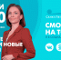 Новости Петербурга к 13:00 - ТК Санкт-Петербург