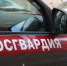 Правоохранители во время патрулирования увидели, как мужчина бросает камни в автомобиль. Фото: пресс-служба Росгвардии по СПб и Ленобласти - Moika78.Ru