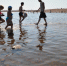 Роспотребнадзор сократил список пригодных для купания водоемов в Ленобласти - Neva.Today