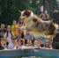 Petshop Days состоится в ЦПКиО - Культура Петербурга