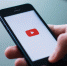 Google не выдвинули обвинения из-за видео с издевательствами над животными на YouTube - ТК Санкт-Петербург