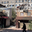 Херсон. Вид на здание, поврежденное в результате обстрела. - Фонтанка