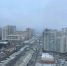 Приморский район обняло белое "одеяло" тумана. Фото: читатель Мойки78 - Moika78.Ru