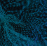 Новости компаний: Helix, Smartavia, SATOhomes - Business FM