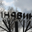 Уникальный геоглиф «Искра» появился в Ленинградской области - Peterburg2.Ru