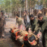 V-е Военно-полевые сборы Морского кадетского братства Адмиралтейского района - Санкт-Петербургское отделение ВДПО