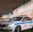 Инспекторы ДПС спасли девятилетнего мальчика от аллергического удушья - ИА Невские Новости