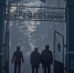 15 лучших телесериалов июля: от «Пищеблока-2» до возвращения «Футурамы» — выбор «Фонтанки» - Фонтанка