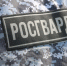 В Красногвардейском районе наряд вневедомственной охраны задержал хулигана, повредившего припаркованный автомобиль - Росгвардия