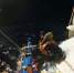 Акулы напали на кругосветную экспедицию Russian Ocean Way, катамаран затонул - Фонтанка