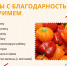 А для дикобраза — жёлуди. Зоопарк ждёт ваши тыквы - Фонтанка