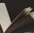 Состоялось представление книги об истории музея Анны Ахматовой | ФОТО Brandi Redd on Unsplash - С.-Петербургские ведомости