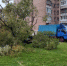 Шторм в Петербурге повалил 150 деревьев на выходных - Peterburg2.Ru