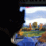 В России допустили блокировку игры World of Tanks - Neva.Today