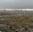 Снег укрыл Петербург. Фото: Мойка78 - Moika78.Ru