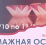 Библиотеки Василеостровского района приглашают на бесплатные выставки - Василеостровской район