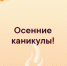 Безопасные каникулы - Василеостровской район