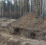 ГСУ СК РФ по Петербургу. - FlashNord.Com