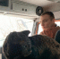 В Мурино пожарные спасли кошку, больше суток пролежавшую под завалами сгоревшего дома - Петербургский дневник