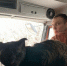 В Мурино пожарные спасли пролежавшую сутки под завалами кошку - Fiesta.Ru