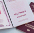 Юрист Кваша назвал категорию петербуржцев, у которых отберут загранпаспорта - Neva.Today