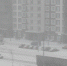 Петровский бульвар в Мурино. Фото: читатель Мойки78 - Moika78.Ru
