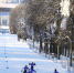 Лыжи11_Се.jpg - С.-Петербургские ведомости