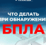 Что делать при встрече с беспилотником? Инструкция от спасателей из Ленобласти - Фонтанка