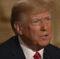 Бывший президент США Трамп назвал Россию «военной машиной», победившей Гитлера - Петербургский дневник