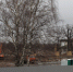 Снос здания Ленинградского дворца молодежи, 28 февраля. Фото: Мойка78 - Moika78.Ru