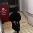 Полиция показала, как налетчик-неудачник ворвался в банк в Петербурге - Moika78.Ru