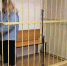 Суд Петербурга отправил в СИЗО бросившую коктейль Молотова в УИКи девушку - ГАZЕТА.СПб