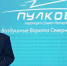 Аэропорт Пулково получил награду премии «Крылья России» - Аэропорт Пулково