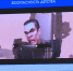 Анна Митянина обратила внимание депутатов Петербурга на странную дружбу Маши и Медведя - ТК Санкт-Петербург