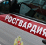 В Красногвардейском районе потерявшегося ребенка росгвардейцы нашли за 20 минут - Петербургский формат