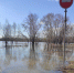 Мэр Новокузнецка: уровень воды реки Томь достиг опасного уровня - Neva.Today