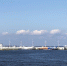 Петербуржцам рассказали о развитии речного транспорта - Neva.Today
