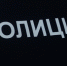Александра Невзорова* переобъявили в розыск - Lenizdat.ru
