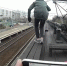Фото: https://foodbool.ru/wp-content/uploads/2023/08/maxresdefault-1-1.jpg - Вестник СЗФО