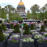 Сад-трансформер открыли на Синем мосту в Петербурге - Peterburg2.Ru