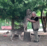 В Ленинградском зоопарке братья-волки отметили день рождения - ГАZЕТА.СПб