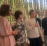«Стереолето-2024» ожидает 16 тысяч гостей - Петербургский дневник