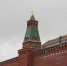 Петербургскую художницу Сашу Скочиленко обменяли в Турции после двух лет заключения - Neva.Today
