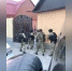 Полиция Петербурга задержала группу вымогателей, угрожавших семьям предпринимателей - Neva.Today