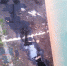 В Ленобласти спасатели обезвредили место разлива нефтепродуктов - Петербургский дневник