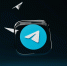 Заместитель президента компании Telegram создал ИП в Петербурге - Neva.Today