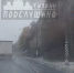 Фото: скриншот видео из группы "Подслушано | Тихвин" в соцсети "ВКонтакте" - Moika78.Ru