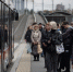 В Петербурге установлено 350 умных остановок - Петербургский дневник